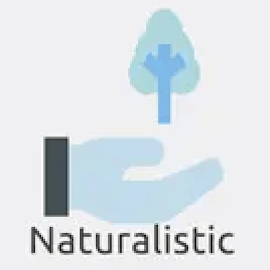 INTELLIGENCE naturalistique