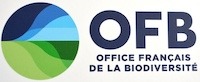 Intelligence émotionnelle en entreprise