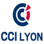 Informatique Métier - CCI de Lyon